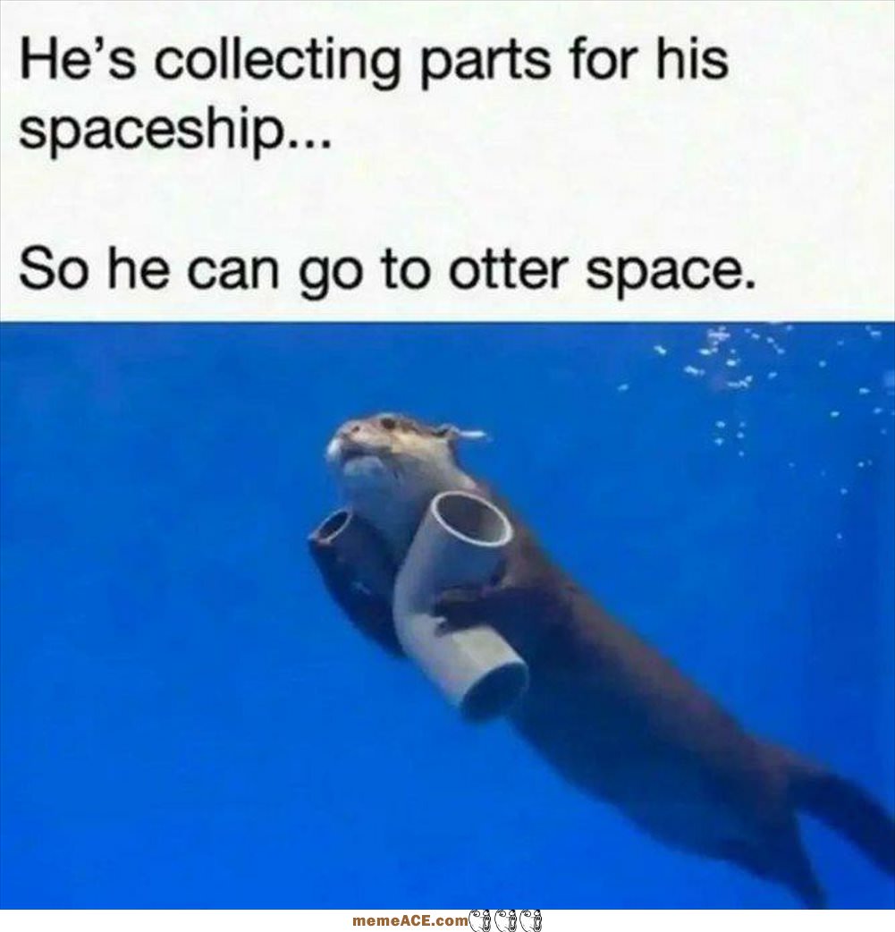 Going To Otter Space